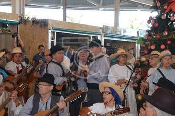 Narea abre como recova con ambiente navideño y de satisfacción general (Foto Francisco Javier Santana y TA)